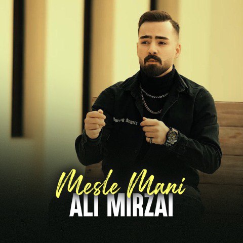 دانلود آهنگ امیر میرزایی به نام مثل منی